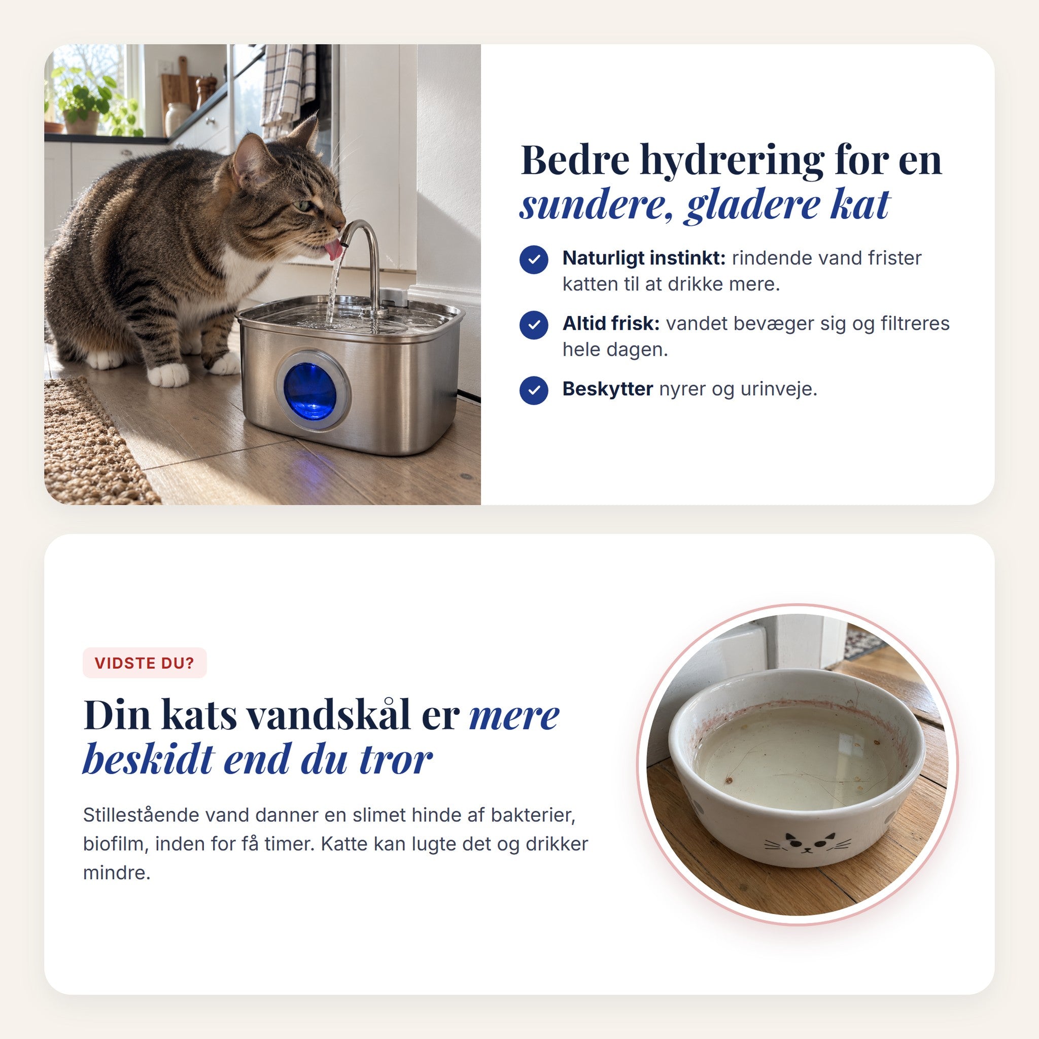 Bedre hydrering for en sundere kat - din kats vandskål er mere beskidt end du tror